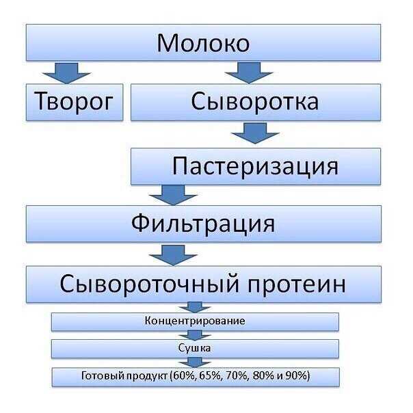 Роль протеина