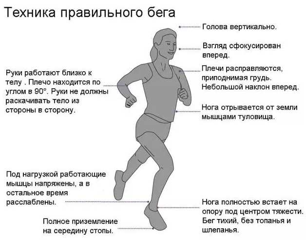 Популярность и доступность