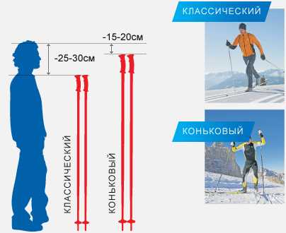 Как выбирать беговые лыжи