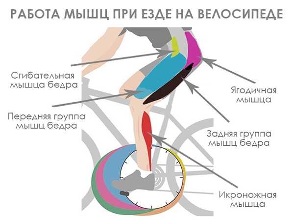Важность растяжки мышц после езды на велосипеде