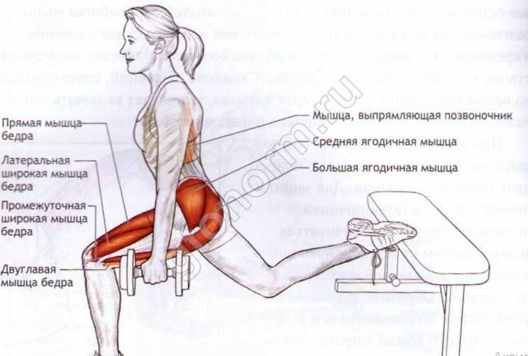 Приседания с гантелями: базовое упражнение для ног
