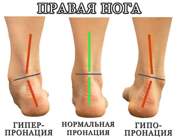 Роль пронации и супинации