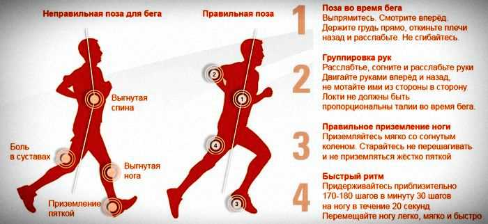 5. Регулярные пробежки