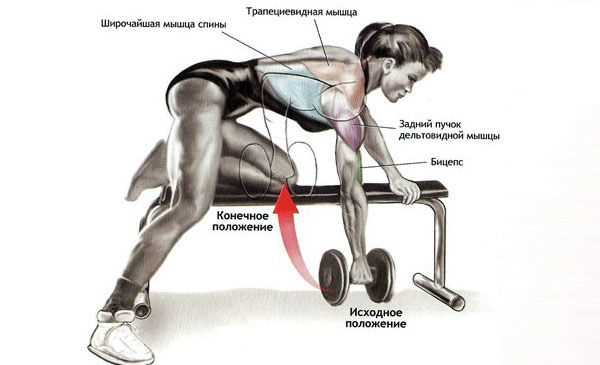 2. Комплексное развитие мышц