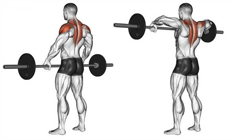Комплекс упражнений на тренажере для развития плечевых мышц