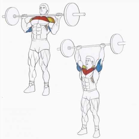 Упражнения на растяжку плечевых мышц для гибкости